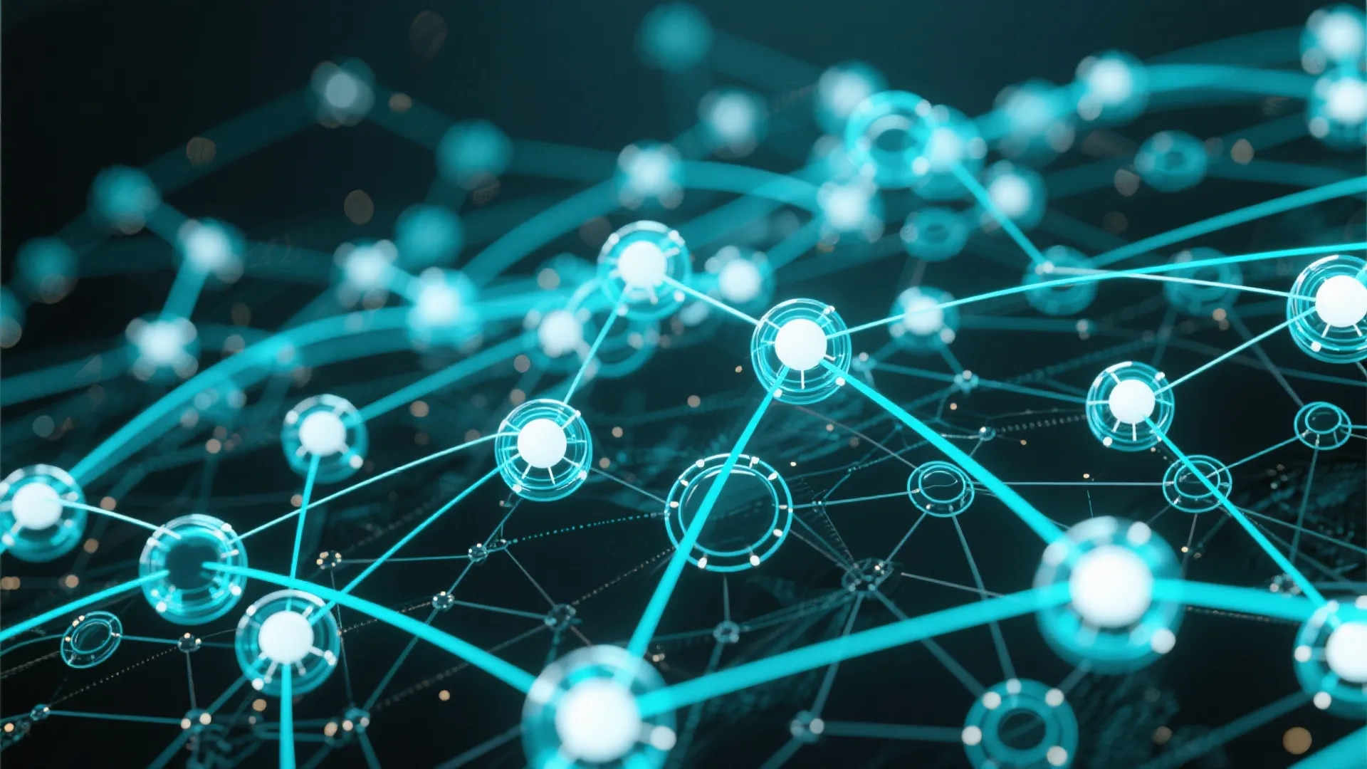 Digital Network